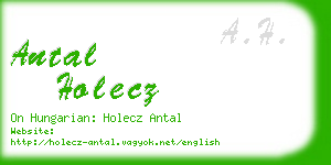 antal holecz business card